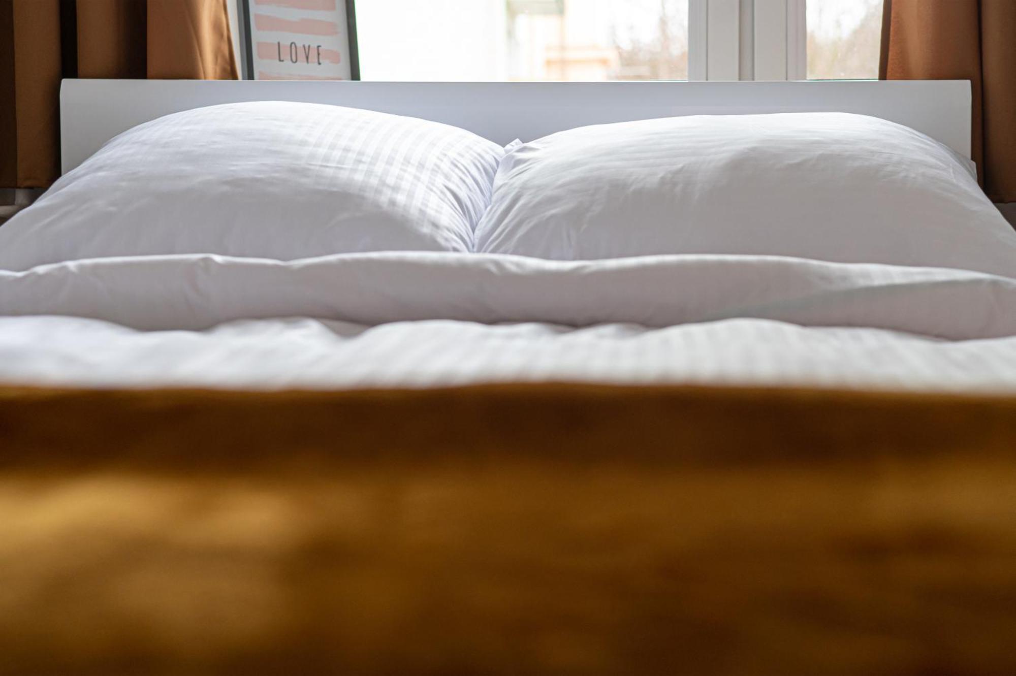 Apartament Octopus Sopot Kamienny Potok ภายนอก รูปภาพ